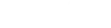 NanoDefense Pro Logo